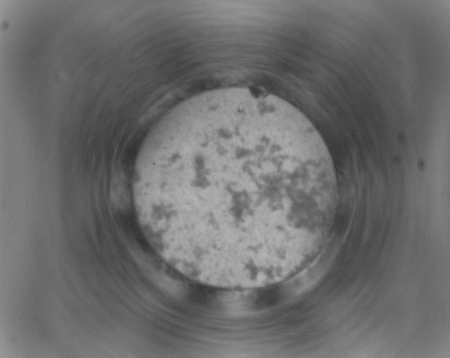 X0000061740136200512231510