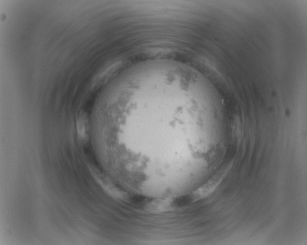 X0000061740138200512231510