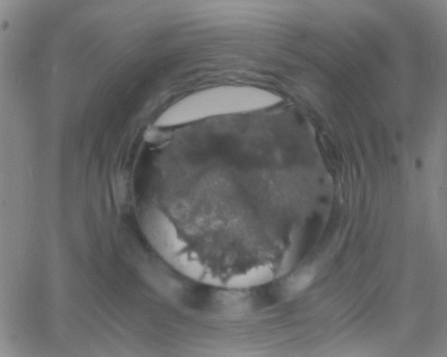 X0000061740139200512231510