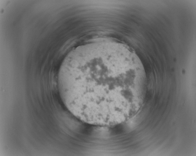 X0000061740140200512231510