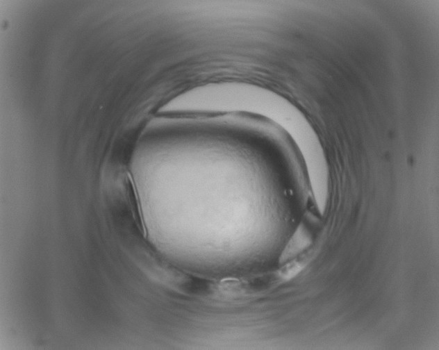 X0000061740141200512231509