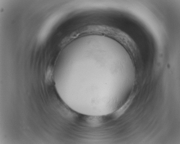 X0000061740142200512231509