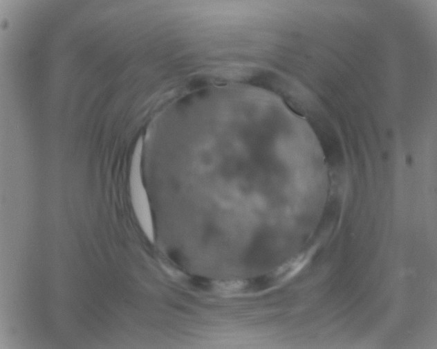 X0000061740143200512231509