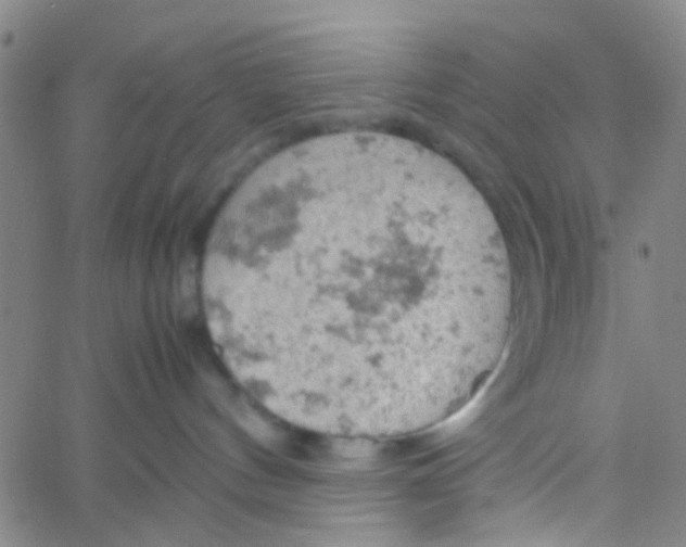 X0000061740144200512231509