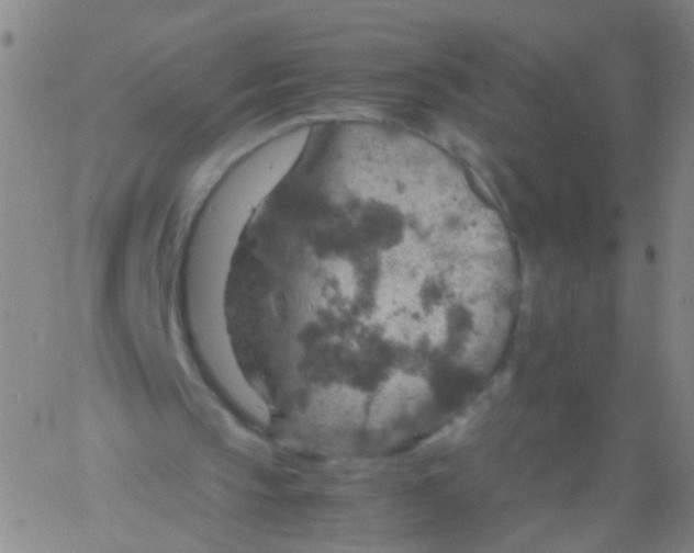 X0000061740145200512231509