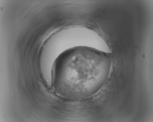 X0000061740146200512231509