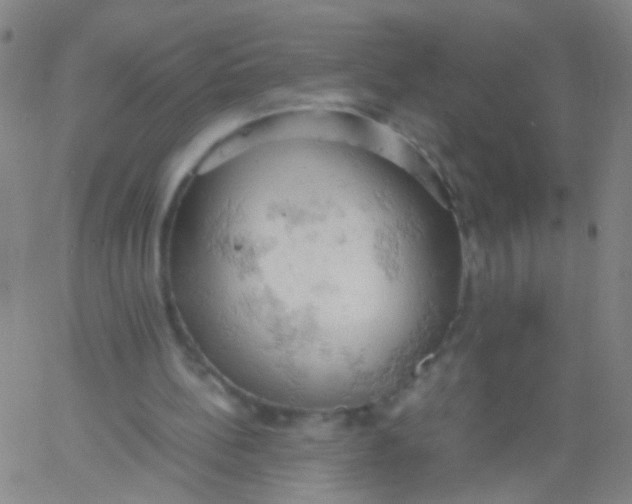 X0000061740148200512231509