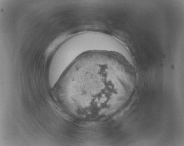 X0000061740149200512231509