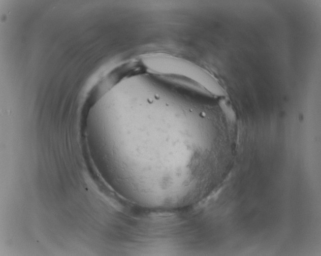 X0000061740150200512231509