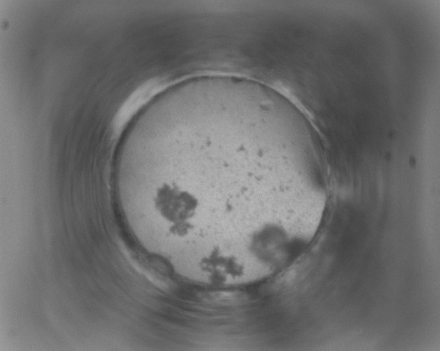 X0000061740151200512231509