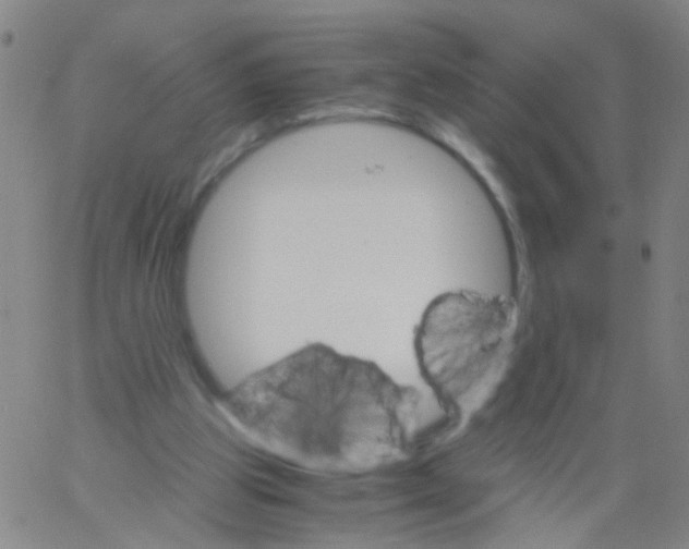 X0000061740153200512231509