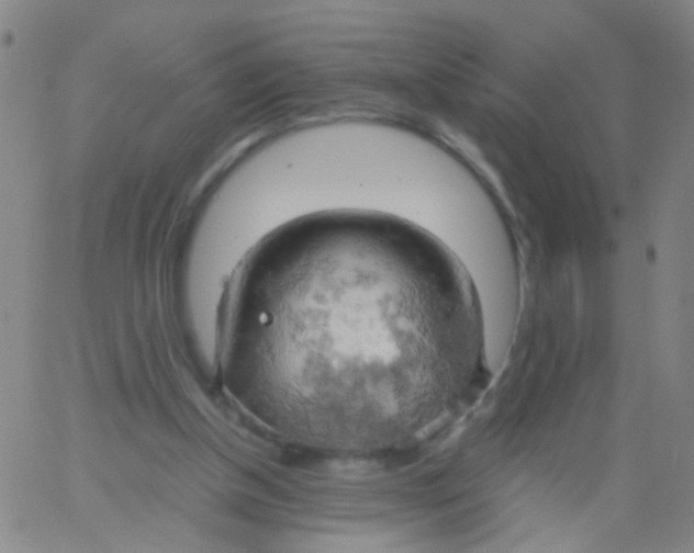 X0000061740154200512231509