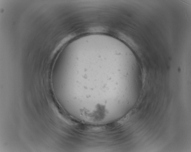 X0000061740155200512231509