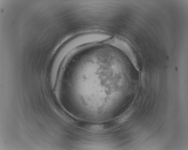 X0000061740156200512231509