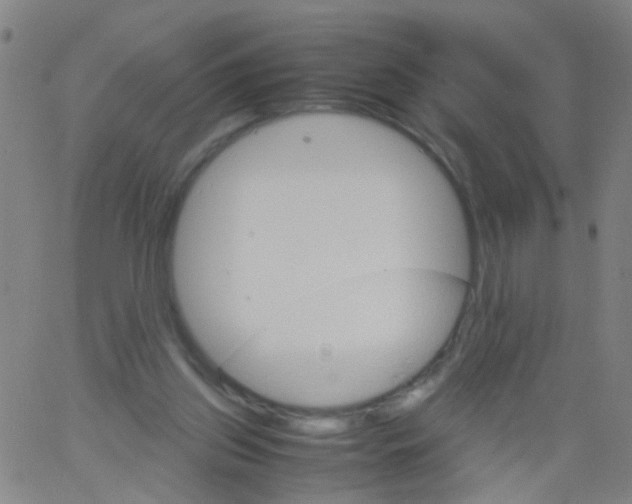 X0000061740157200512231509