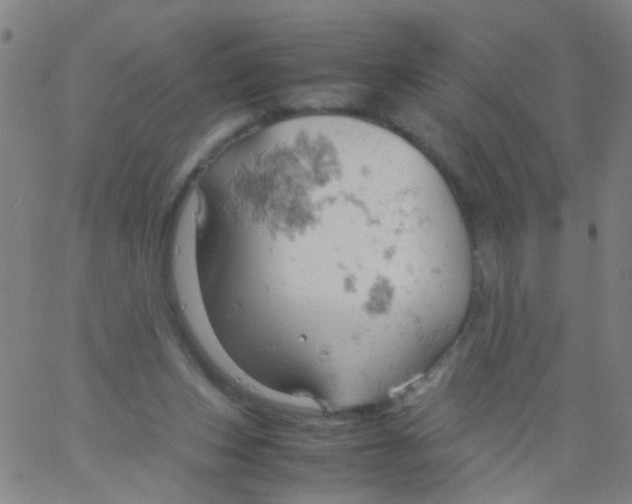 X0000061740159200512231509