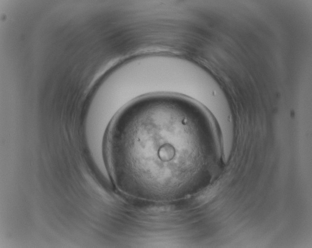 X0000061740160200512231509