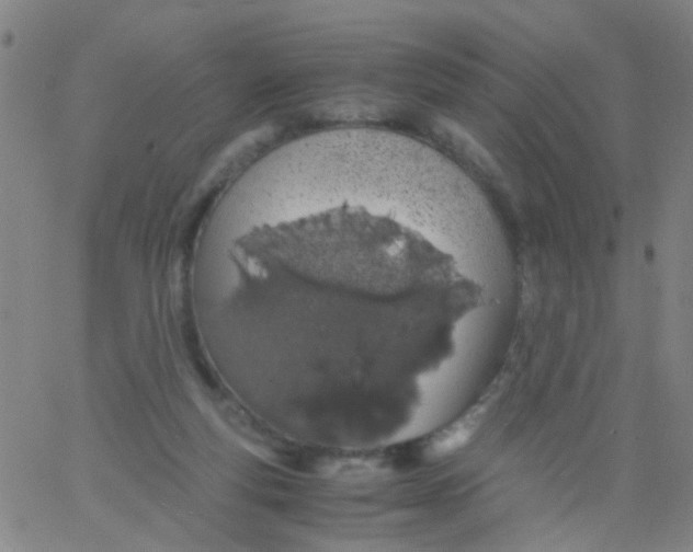 X0000061740163200512231509