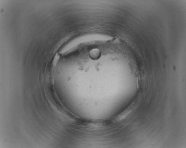 X0000061740164200512231509