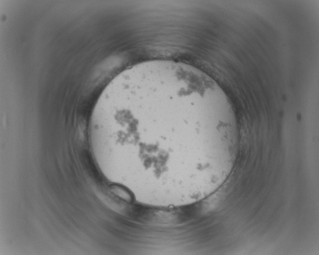 X0000061740166200512231509