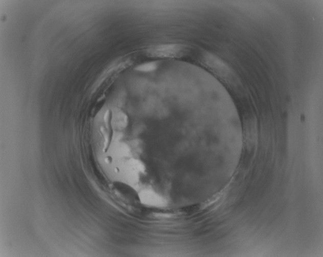 X0000061740167200512231509