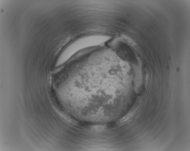 X0000061740168200512231509