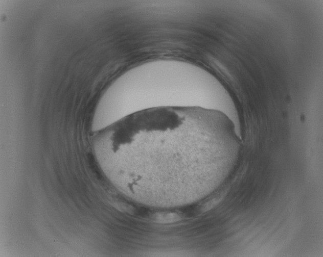 X0000061740169200512231509