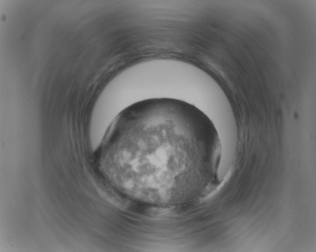 X0000061740170200512231509