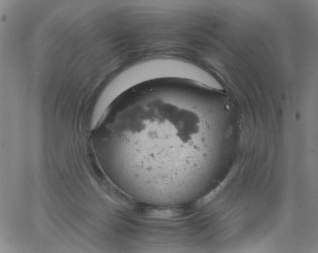 X0000061740171200512231509