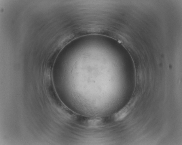 X0000061740172200512231509