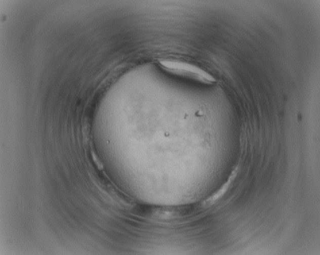 X0000061740174200512231509