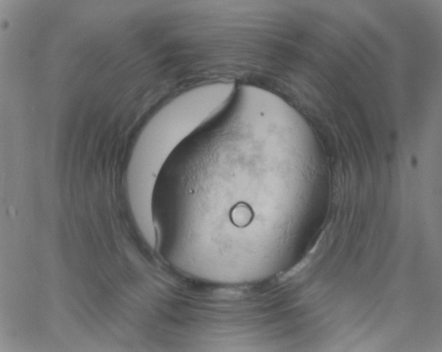 X0000061740176200512231509