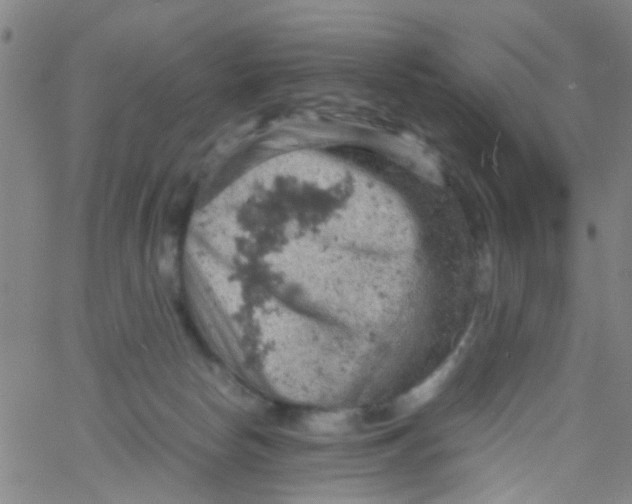 X0000061740178200512231509