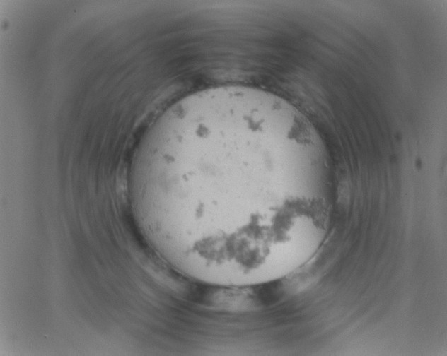 X0000061740179200512231509