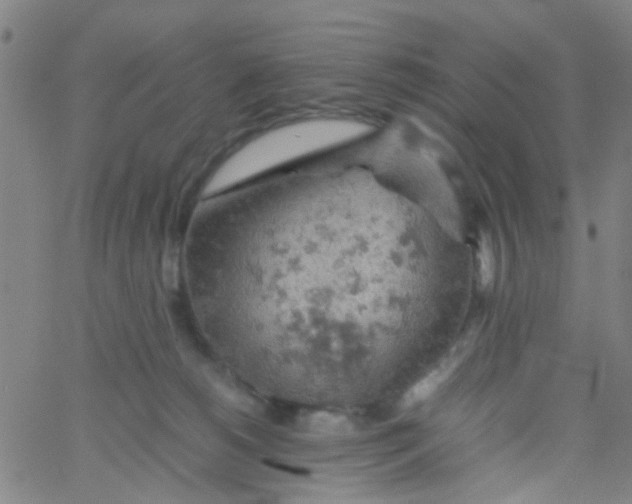 X0000061740180200512231509