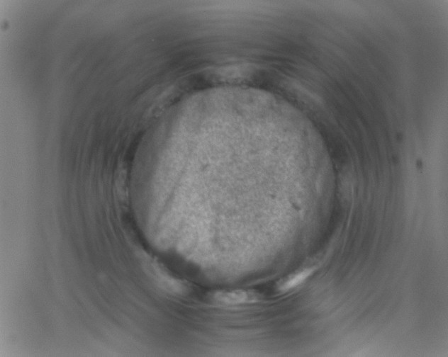 X0000061740181200512231509