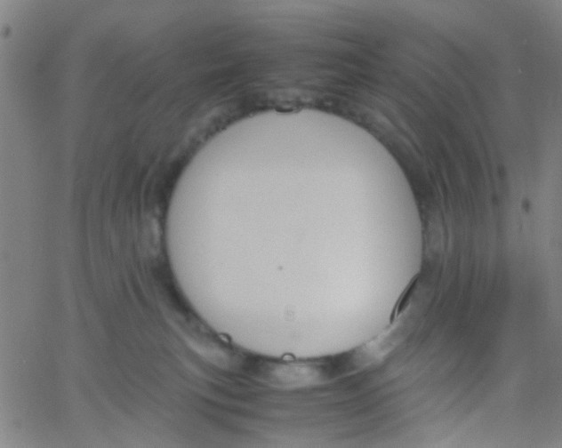 X0000061740183200512231509