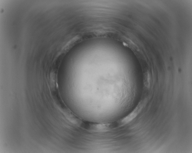 X0000061740184200512231509