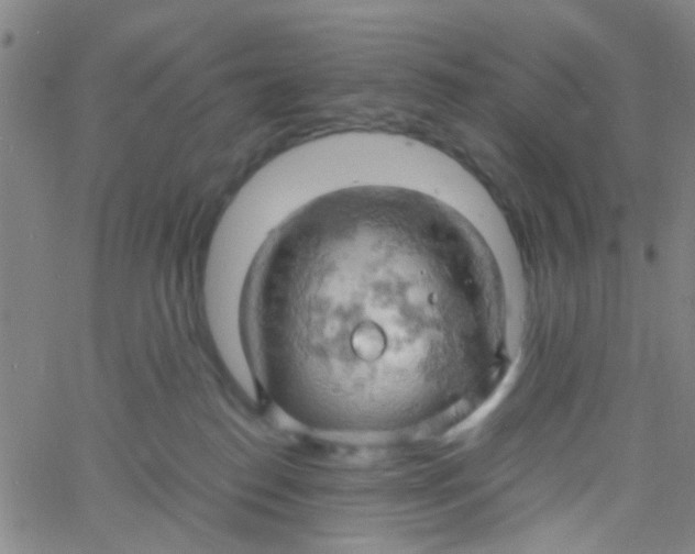 X0000061740186200512231509