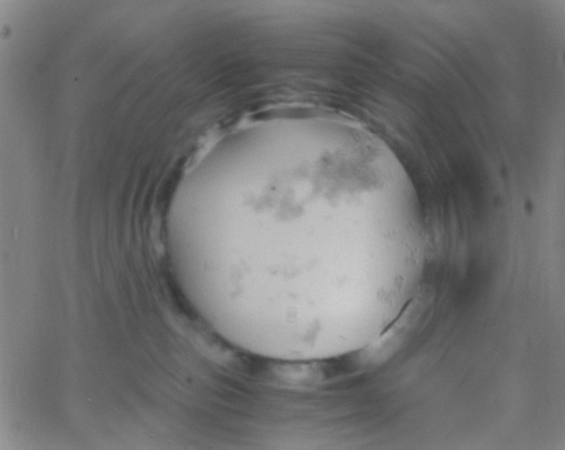 X0000061740187200512231509