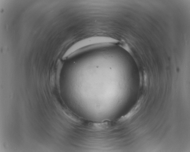 X0000061740188200512231509