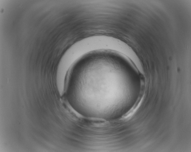 X0000061740190200512231509