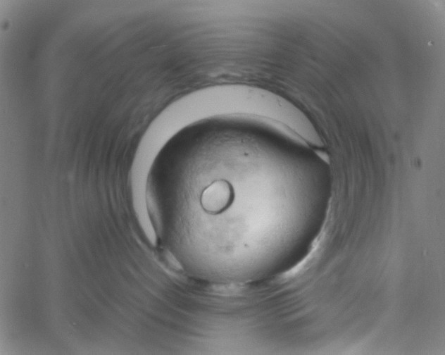 X0000061740192200512231509