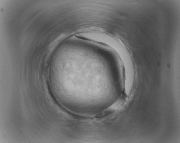 X0000061740193200512231509