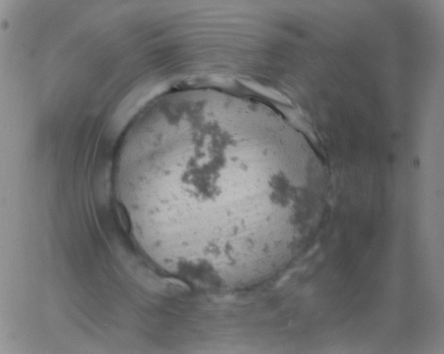 X0000061740194200512231509