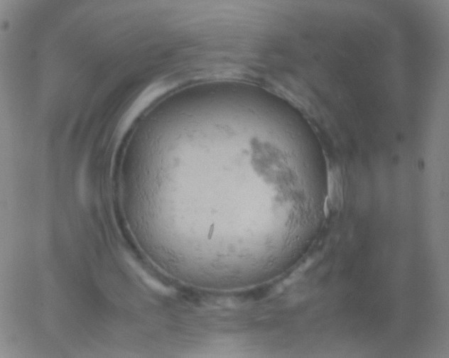 X0000061740195200512231509