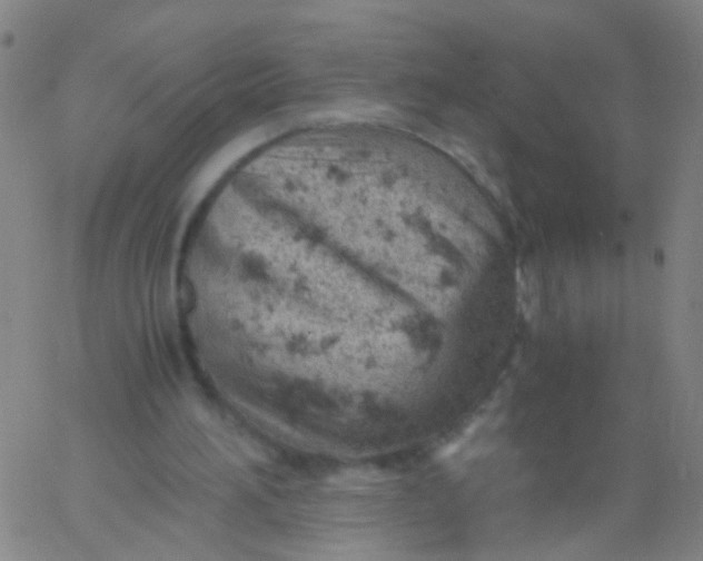 X0000061740196200512231509