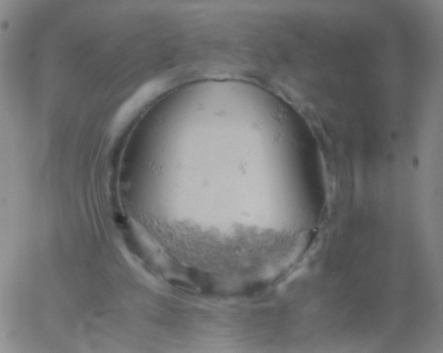 X0000061740197200512231509