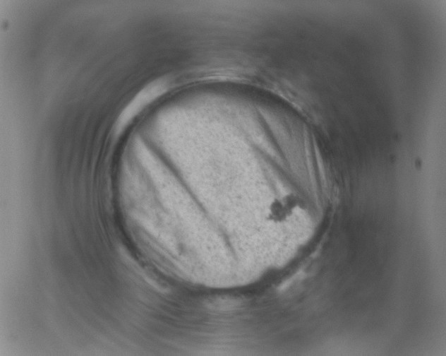 X0000061740198200512231509