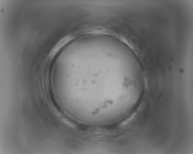 X0000061740199200512231509